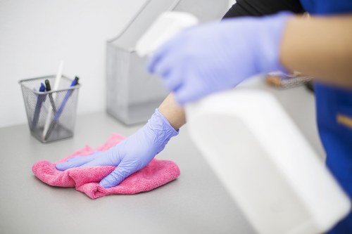 Professional stain removal for carpets and upholstery in Camden homes