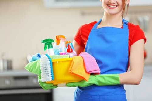Professional carpet cleaning in a Camden home with busy foot traffic