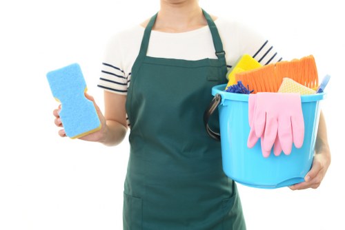 Professional oven cleaning service for a Camden kitchen appliance