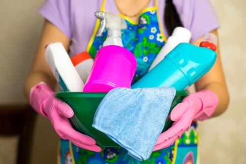 Cleaner beginning a professional cleaning service in a home