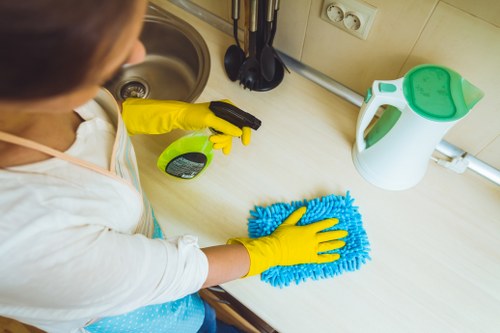Regular cleaning service for Camden homes and small businesses