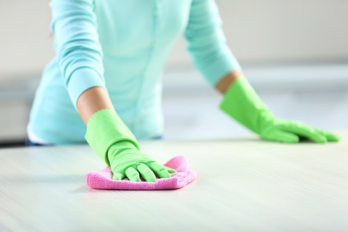 Professional steam carpet cleaning service for a Camden home interior