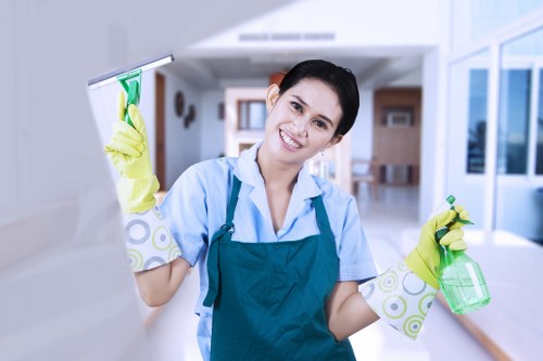 Upholstery and rug stain cleaning for Camden residential and commercial spaces